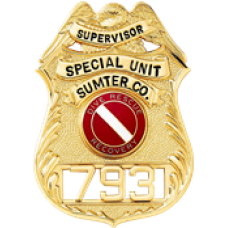 BCT69. GOLD BADGE – (SUPERVISOR or INSTRUCTOR)