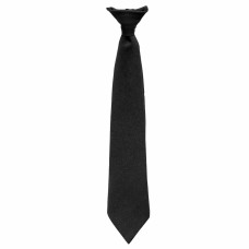 BCT81Aa - Men's Clip On Tie